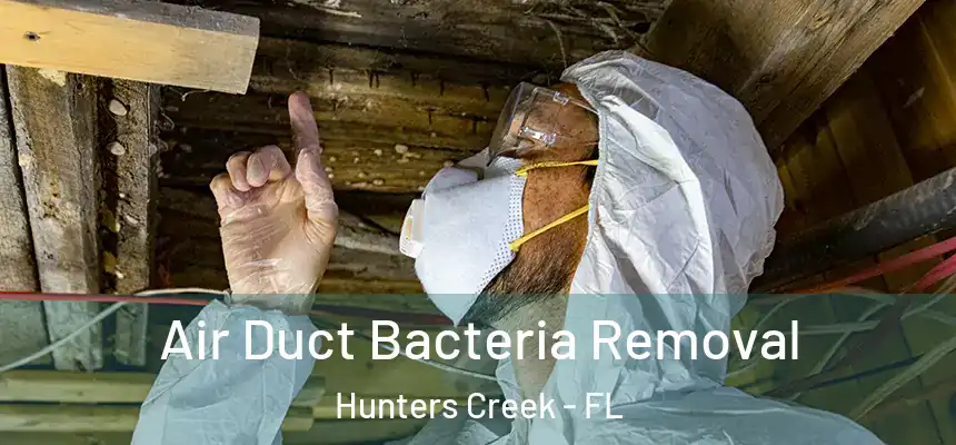 Air Duct Bacteria Removal Hunters Creek - FL