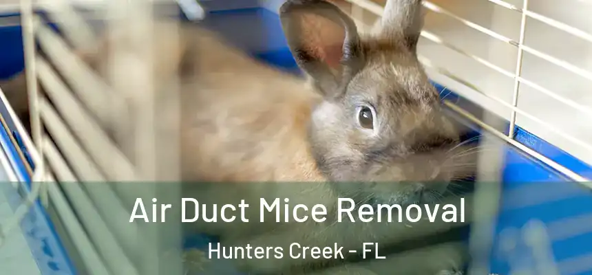 Air Duct Mice Removal Hunters Creek - FL