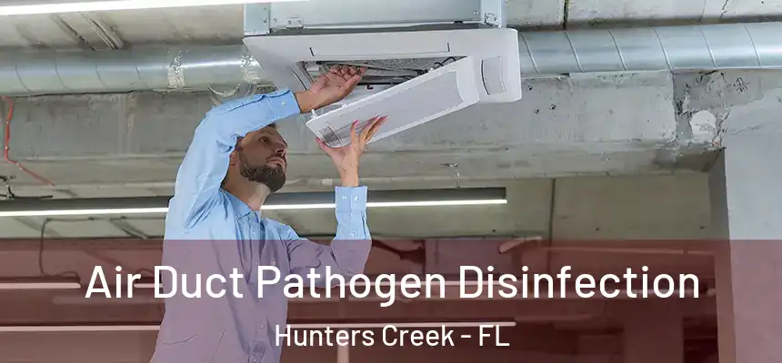  Air Duct Pathogen Disinfection Hunters Creek - FL