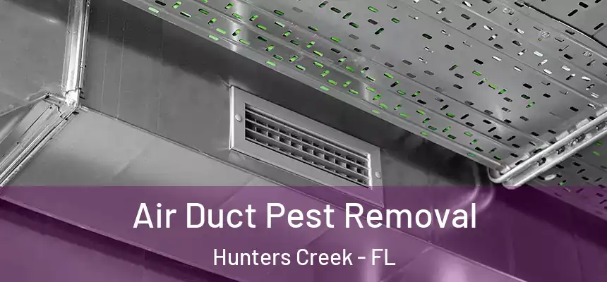  Air Duct Pest Removal Hunters Creek - FL