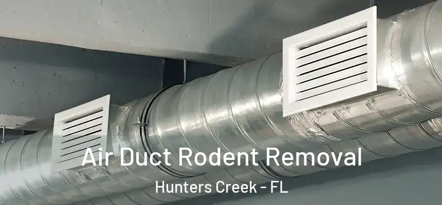  Air Duct Rodent Removal Hunters Creek - FL