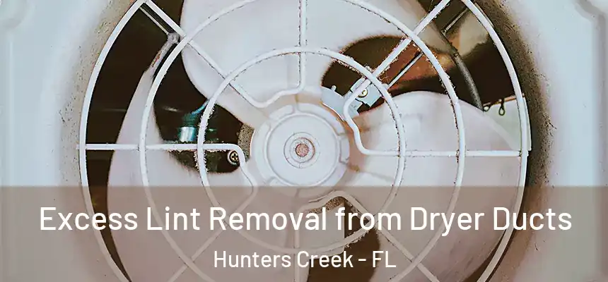  Excess Lint Removal from Dryer Ducts Hunters Creek - FL