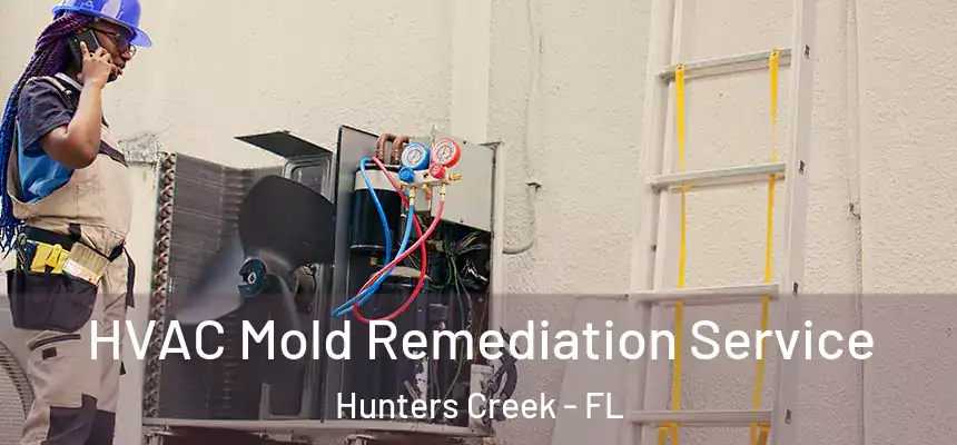 HVAC Mold Remediation Service Hunters Creek - FL