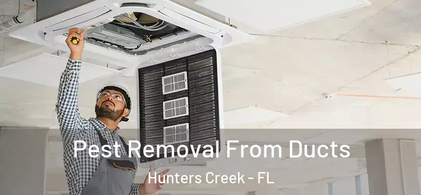  Pest Removal From Ducts Hunters Creek - FL