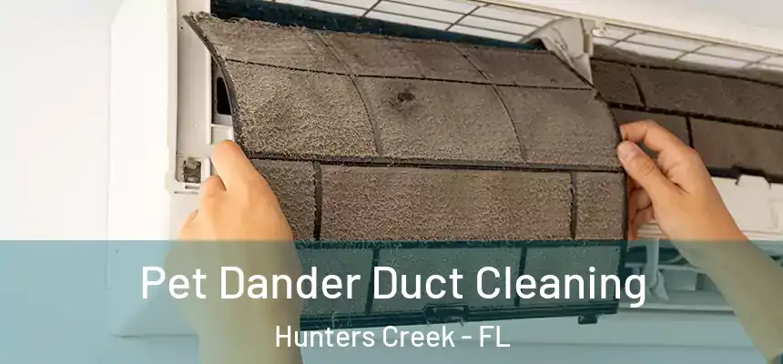 Pet Dander Duct Cleaning Hunters Creek - FL
