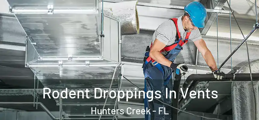 Rodent Droppings In Vents Hunters Creek - FL