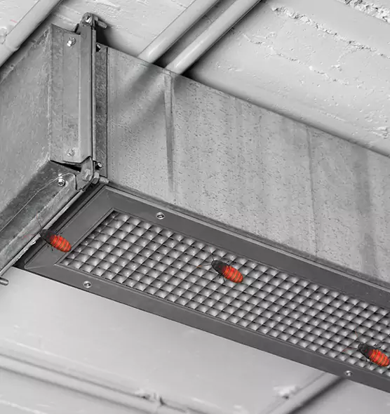 About Air Duct Cockroach Removal in Hunters Creek, FL