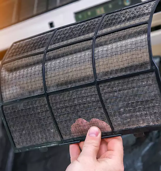 About Pet Dander Duct Cleaning in Hunters Creek, FL